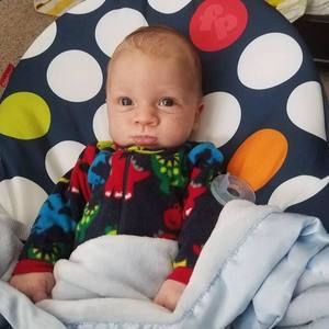 Meet your Posher, Shelly